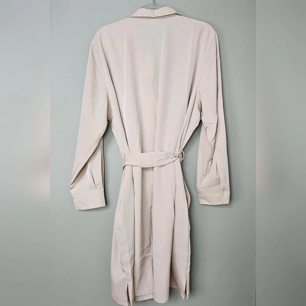 Banana Republic Women's Long Sleeve Satin Twill Mini Shift Dress in Oyster Pearl